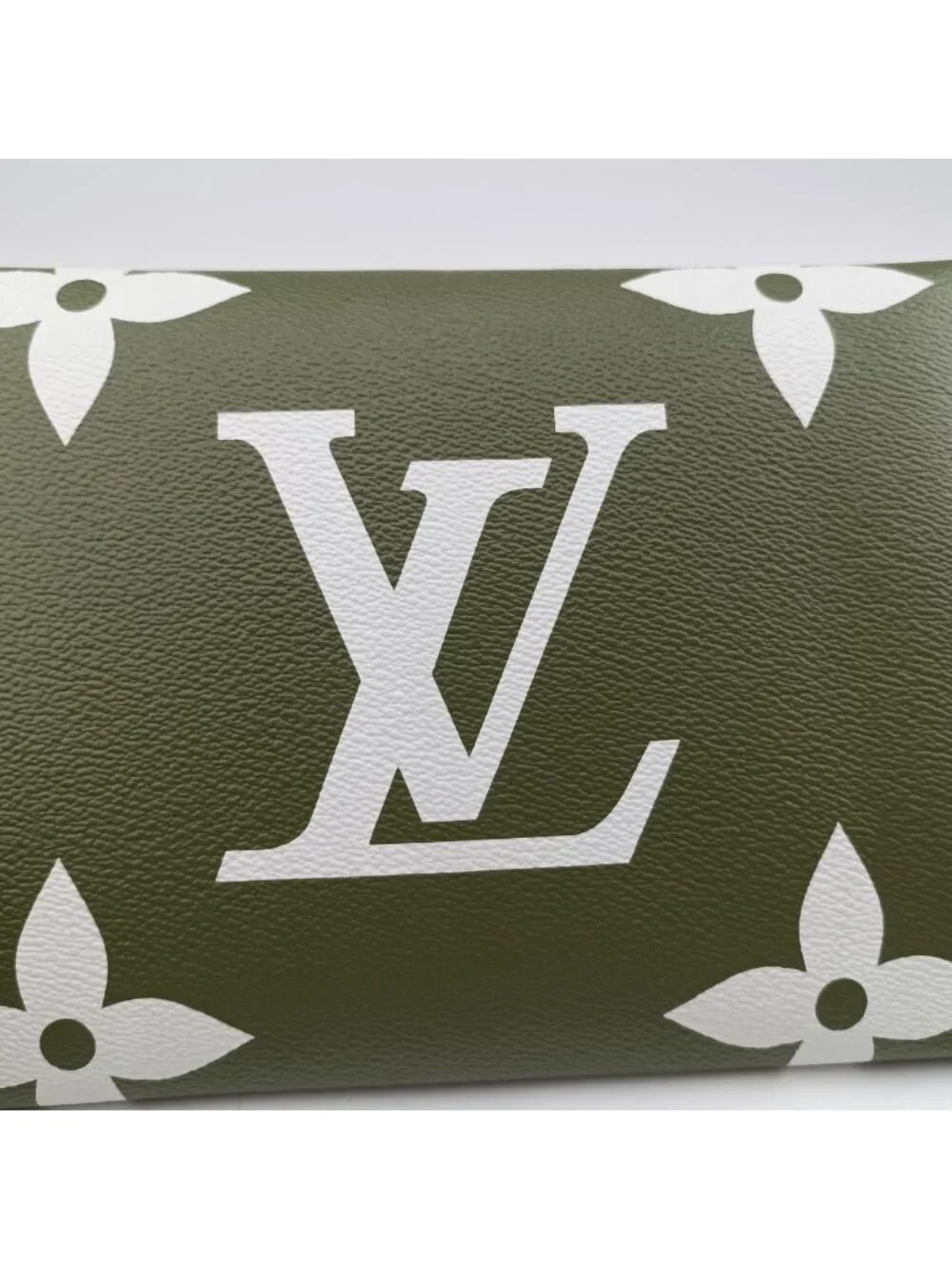 Louis Vuitton brand louis